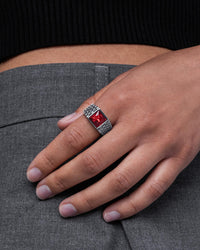 stainless-steel-red