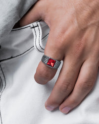 stainless-steel-red