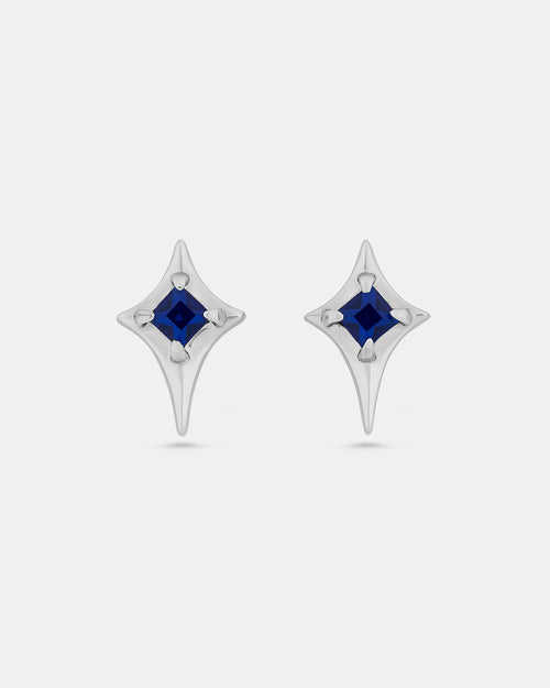 stainless-steel-blue